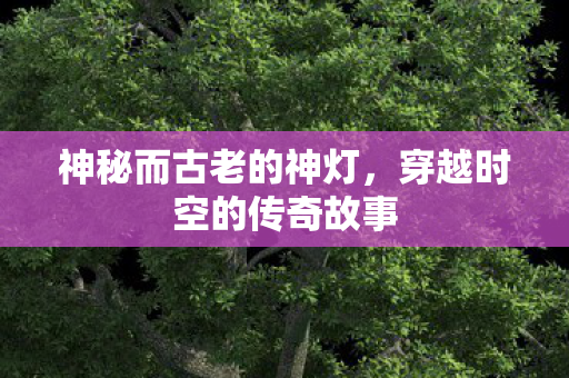 穿越时空的传奇故事图片