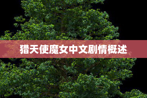 猎天使魔女中文剧情概述