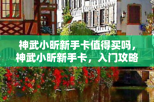 神武小昕新手卡值得买吗，神武小昕新手卡，入门攻略与体验心得