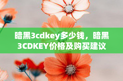 暗黑3cdkey多少钱，暗黑3CDKEY价格及购买建议