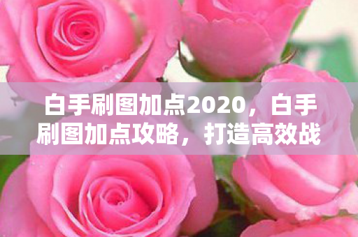 白手刷图加点2020，白手刷图加点攻略，打造高效战斗力的关键