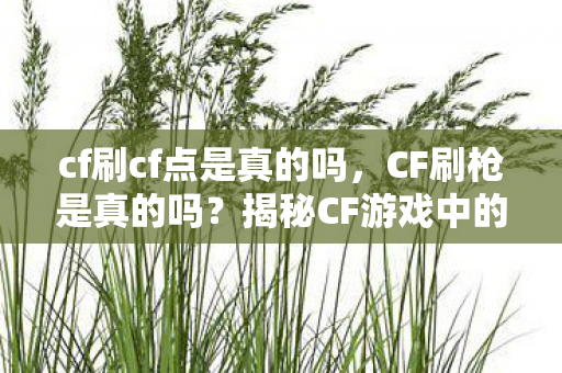 揭秘CF游戏中的刷枪现象图片
