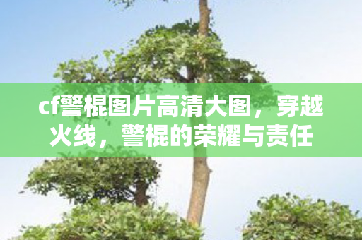 cf警棍图片高清大图，穿越火线，警棍的荣耀与责任