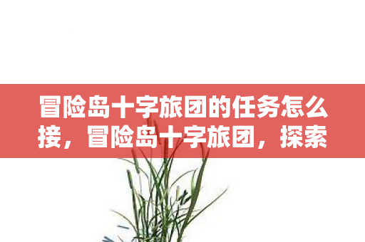 冒险岛十字旅团的任务怎么接，冒险岛十字旅团，探索未知世界的奇幻之旅