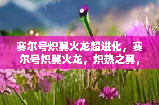 赛尔号炽翼火龙超进化图片