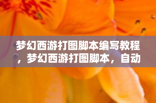 梦幻西游打图脚本编写教程图片