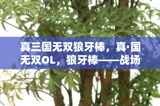 真三国无双狼牙棒图片