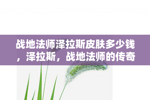 战地法师泽拉斯皮肤多少钱图片