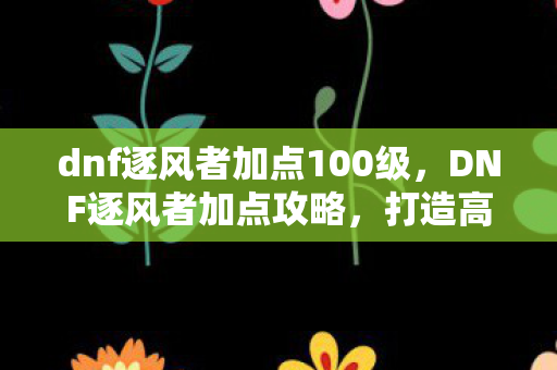 dnf逐风者加点100级图片