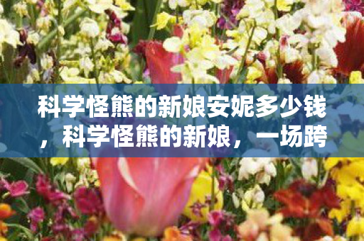 科学怪熊的新娘安妮多少钱图片