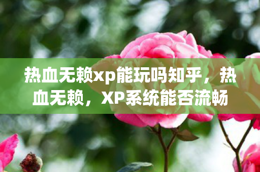 热血无赖xp能玩吗知乎图片