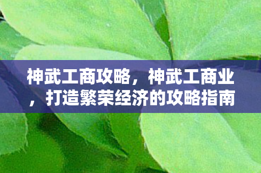 神武工商攻略，神武工商业，打造繁荣经济的攻略指南