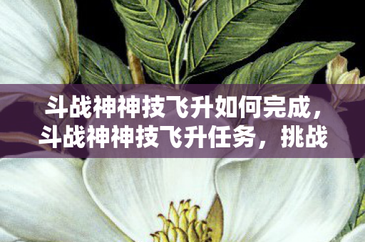 斗战神神技飞升如何完成图片