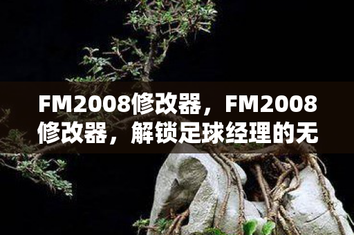 FM2008修改器，FM2008修改器，解锁足球经理的无限可能