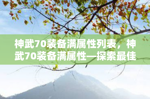 神武70装备满属性列表，神武70装备满属性—探索最佳装备之路