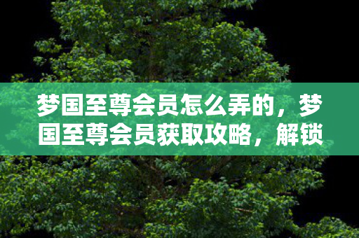 梦国至尊会员怎么弄的，梦国至尊会员获取攻略，解锁尊贵特权，尊享非凡体验