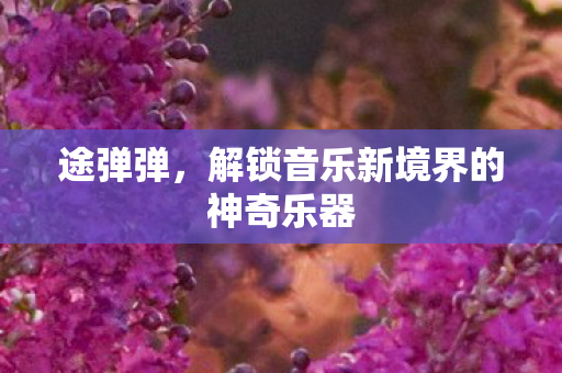 途弹弹，解锁音乐新境界的神奇乐器