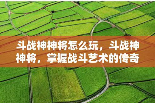 掌握战斗艺术的传奇英雄图片