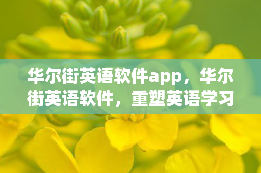 华尔街英语软件app,华尔街英语软件,重塑英语学习的未来 华尔街英语软件app,华尔街英语软件,重塑英语学习的未来