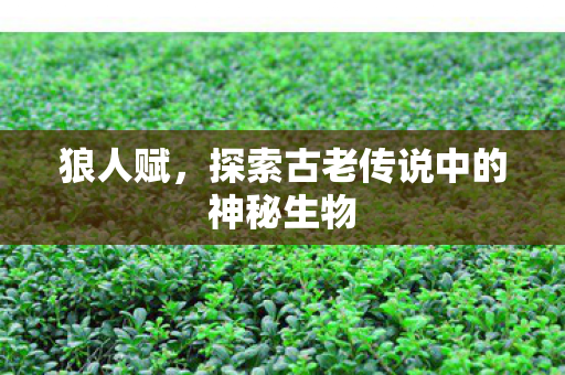 探索古老传说中的神秘生物图片