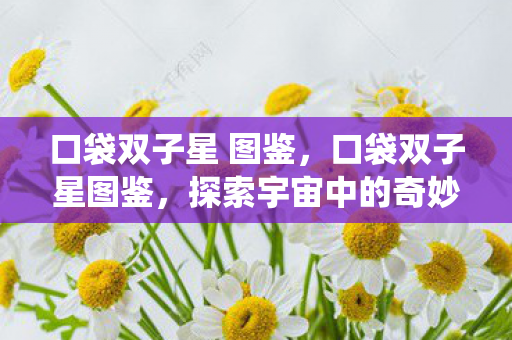 探索宇宙中的奇妙双星系统图片