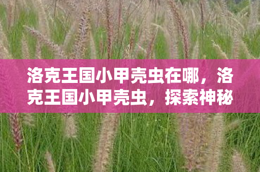 探索神秘世界的奇妙旅程图片