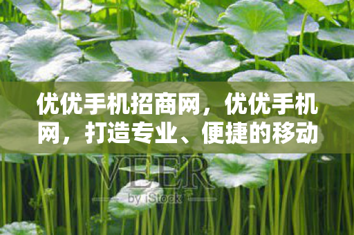 便捷的移动购物新体验图片