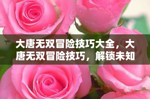 大唐无双冒险技巧大全图片