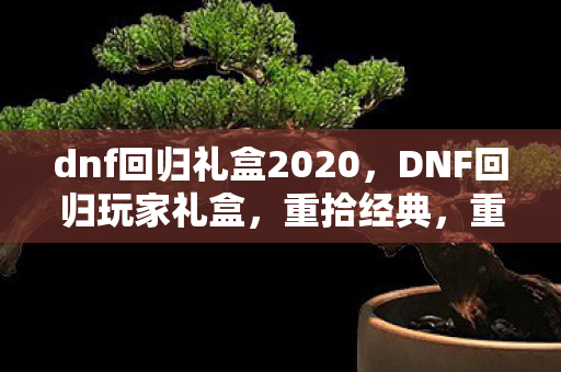 dnf回归礼盒2020，DNF回归玩家礼盒，重拾经典，重温热血战斗