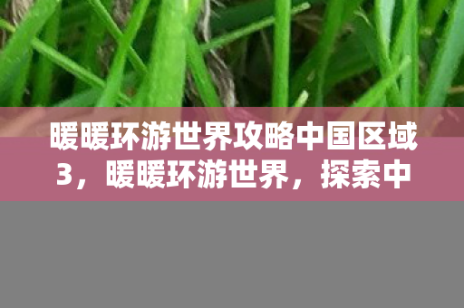 暖暖环游世界攻略中国区域3图片