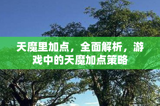 天魔里加点，全面解析，游戏中的天魔加点策略
