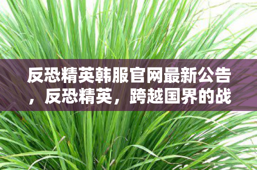 反恐精英韩服官网最新公告，反恐精英，跨越国界的战斗