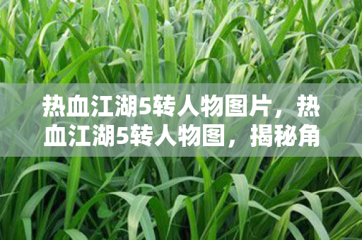 热血江湖5转人物图片，热血江湖5转人物图，揭秘角色成长与技能进化