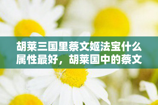 胡莱三国里蔡文姬法宝什么属性最好，胡莱国中的蔡文姬，历史与传说的交织