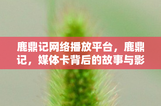 媒体卡背后的故事与影响图片