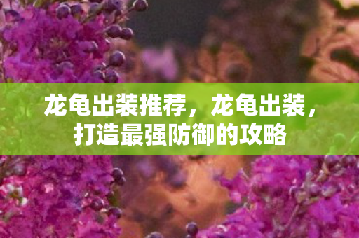 打造最强防御的攻略图片