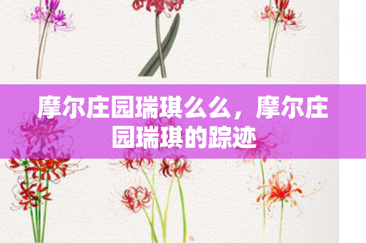 摩尔庄园瑞琪的踪迹图片