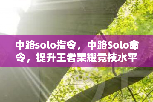 提升王者荣耀竞技水平的秘密武器图片