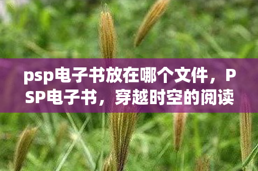 psp电子书放在哪个文件,PSP电子书,穿越时空的阅读之旅 psp电子书放在哪个文件,PSP电子书,穿越时空的阅读之旅