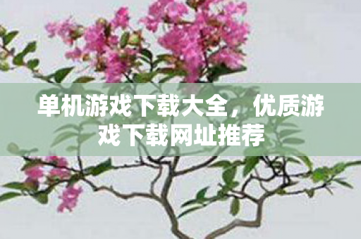 单机游戏下载大全，优质游戏下载网址推荐