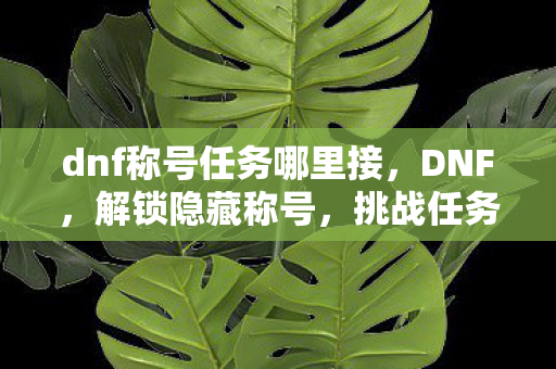 dnf称号任务哪里接，DNF，解锁隐藏称号，挑战任务全解析