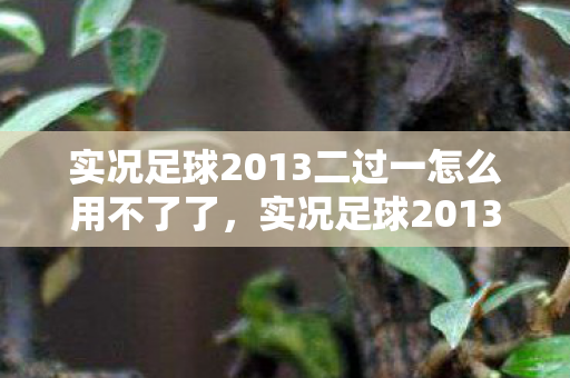 实况足球2013二过一怎么用不了了，实况足球2013，二过一战术的奥秘