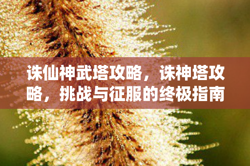 挑战与征服的终极指南图片