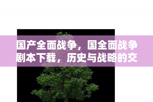 国全面战争剧本下载图片