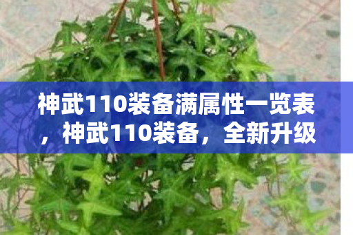 神武110装备满属性一览表，神武110装备，全新升级与选择策略