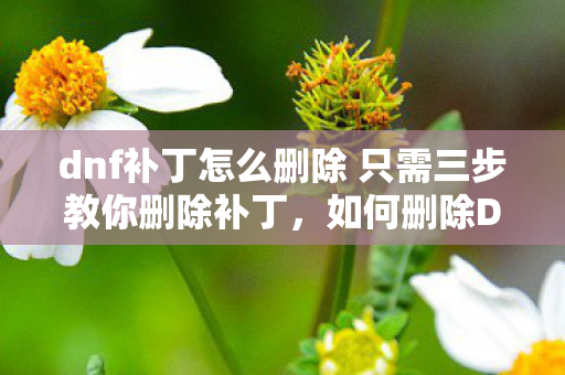 dnf补丁怎么删除 只需三步教你删除补丁图片