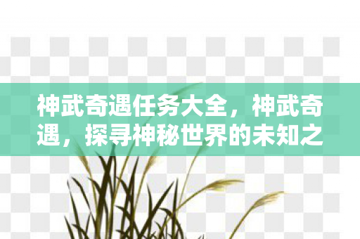 神武奇遇任务大全，神武奇遇，探寻神秘世界的未知之旅