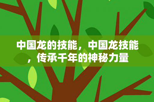 中国龙的技能，中国龙技能，传承千年的神秘力量