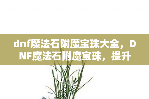 dnf魔法石附魔宝珠大全，DNF魔法石附魔宝珠，提升战斗力的神秘宝物