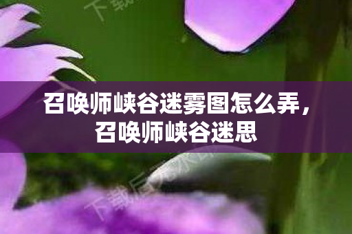 召唤师峡谷迷雾图怎么弄，召唤师峡谷迷思